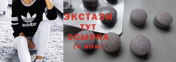прущие грибы Каменногорск