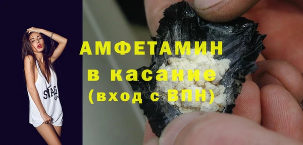 прущие грибы Каменногорск