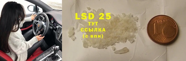 спайс Инта