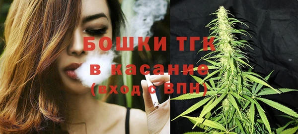 СК Инсар