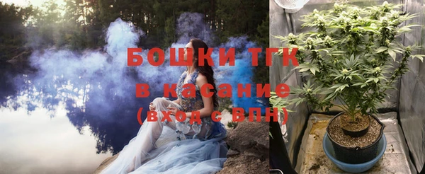 спайс Инта