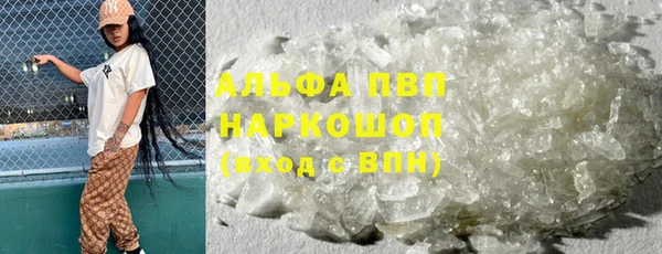 спайс Инта