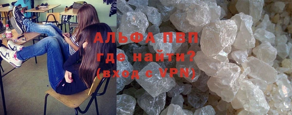 спайс Инта