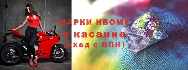прущие грибы Каменногорск