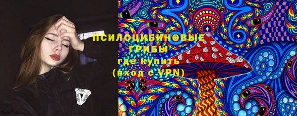 спайс Инта