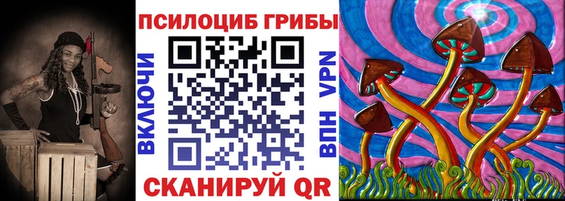 Купить  Змеиногорск  Псилоцибиновые грибы мухоморы 